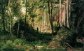 Пейзаж с охотником. Остров Валаам - 1867 год